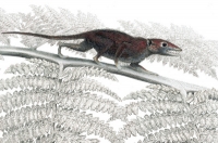 Малюнок самого древнього плацентарного ссавця Juramaia sinensis. Фото: Zhe-Xi Luo. Музей of Natural History
