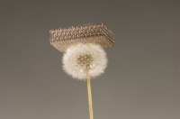 Фото: Dan Little, HRL Laboratories, LLC.