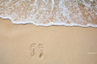 Фото: free-writer.ru