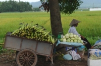 Диета людей эпохи палеолита для здоровья и снижения веса. Фото: HOANG DINH NAM/AFP/GettyImages