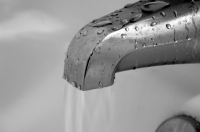 Фото: Samuelrich/stockfreeimages.com
