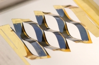 Фото: Aaron Lamoureux/ns.umich.edu