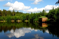 Лісове озеро в Кіржачі. Фото: Алла Лавриненко/Велика Епоха