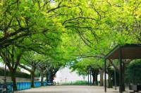 Фото: pixabay.com