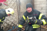 Пожарные спасли 5 щенков из разрушенного здания в Сумах