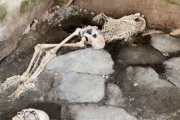 У Помпеях знайшли ще декілька жертв Везувію (ВІДЕО)