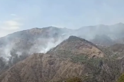 Лісові пожежі охопили частину Індії через спеку (ВІДЕО)