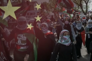 Исследование указывает на связь КПК с антиизраильскими протестами в США