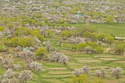 В Пакистане зафиксирован «самый влажный апрель» за последние 60 лет