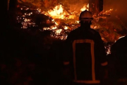 У околицях Парижа вирує лісова пожежа на тлі спеки, що охопила Європу (ВІДЕО)