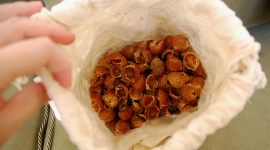 Где найти мыльные орехи в Украине