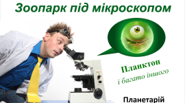 Киевляне могут посетить зоопарк под микроскопом