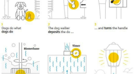 У Великобританії відходи собак використовують для роботи вуличних ліхтарів