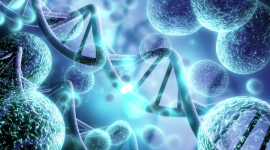 Генетичні дефекти не є причиною раку: почніть лікувати причину