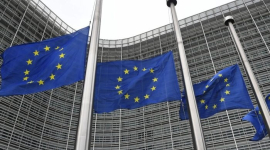 После взлома переписки Татьяны Жданок парламент ЕС начал расследование ее связей с РФ