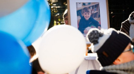 В Бельгии подвергли эвтаназии собак, напавших на 7-летнего ребенка во время кормления