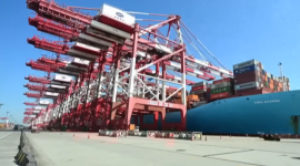 Китай запроваджує додаткові 55% мита на імпорт яловичини (ВІДЕО)