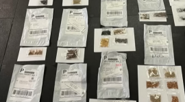 Влада США попереджає громадян про загадкові посилки з насінням з Китаю (ВІДЕО)