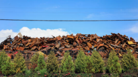 Польша призывает ЕС вмешаться после того, как Украина приостановила экспорт металлолома: отчет