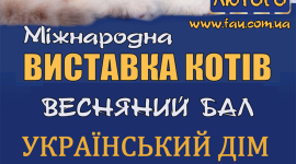 У Києві відбудеться виставка породистих кішок