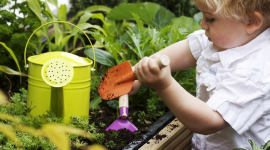 Что такое садовая терапия и работает ли она?