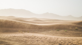 Песчаные дюны «общаются» между собой, выяснили учёные