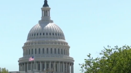 Влияние иностранных фондов на образование в США: эксперт