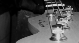 Струны D'Addario - выбор профессиональных музыкантов 