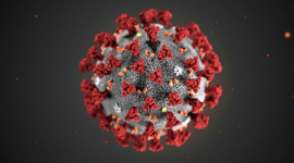 Что такое коронавирус и как защитить себя 