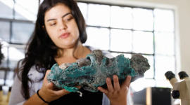 Пластиковые камни, обнаруженные на отдаленном острове, встревожили ученых