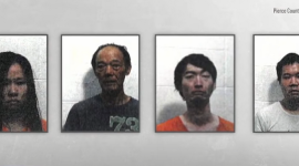 Четверо граждан Китая арестованы в Джорджии по делу о марихуане