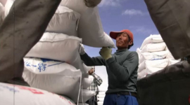 Криза добрив: Китай обмежує експорт на тлі напруження в Ормузькій протоці (ВІДЕО)