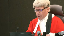 Баррон Трамп викликав поліцію під час відеодзвінка — нападника засудили (ВІДЕО)