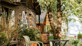 Правда ли, что яркие стулья могут изменить настроение мрачного сада?