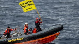 Greenpeace загрожує розорення після позову на 345 мільйонів доларів за наклеп