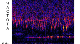 Необъяснимый звук стал доноситься из недр Тихого океана — исследование