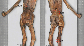 Этци: Древняя мумия в татуировках