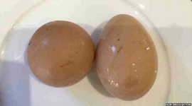 Круглое яйцо продано на eBay за $700
