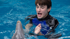 Фильм «История дельфина 2» уже в украинском прокате