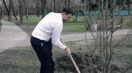 Киевляне примут участие в Tree-challenge «Посади дерево»