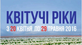 У Києві відбудеться виставка тюльпанів «Квітучі річки»