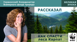 Украинский Координатор Всемирного фонда природы рассказал, как спасти леса Карпат