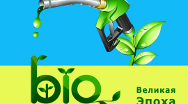 В Украине будут получать биотопливо из сине-зелёных водорослей