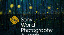 Лучшие работы престижного конкурса фотографии Sony World Photography Awards 2017