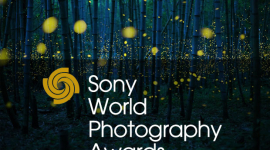 Кращі роботи престижного конкурсу фотографії Sony World Photography Awards 2017