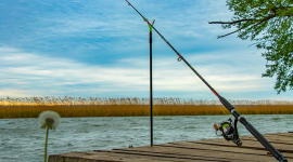 Удилище для всех видов рыбалки от интернет-магазина Fishingroi 
