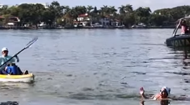 Плавчиня із Флориди побила рекорд у запливі й водночас зібрала сміття (ВІДЕО)