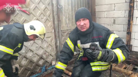 У Сумах пожежники врятували 5 цуценят зі зруйнованої будівлі (ВІДЕО)