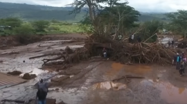 По меньшей мере 48 человек погибли из-за внезапного паводка в Кении