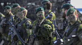 Швеция должна больше тратить на оборону и увеличить число призывников, рекомендуют законодатели